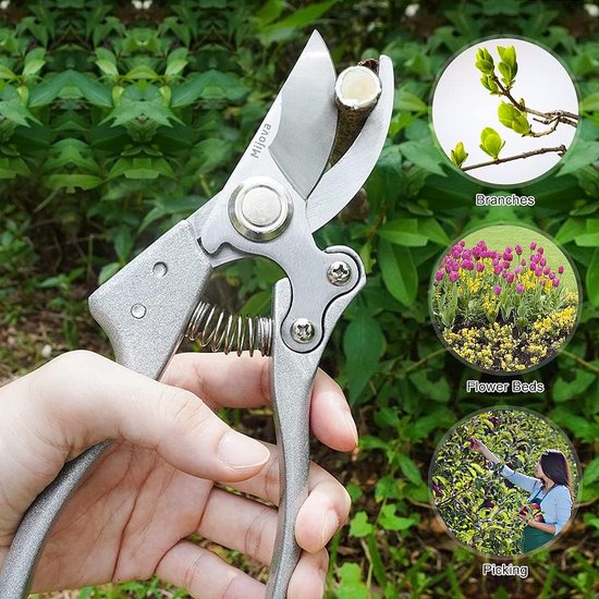 Sécateur de jardin, sécateur professionnel avec lame tranchante en acier  inoxydable, poignée antidérapante, ciseaux de jardin