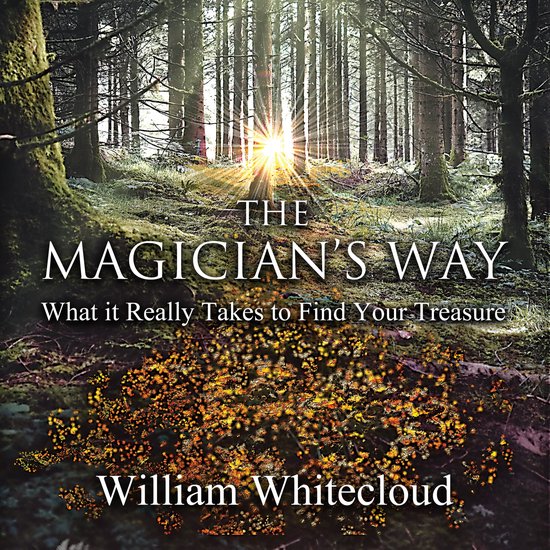 MAGICIAN'S WAY, THE - cover