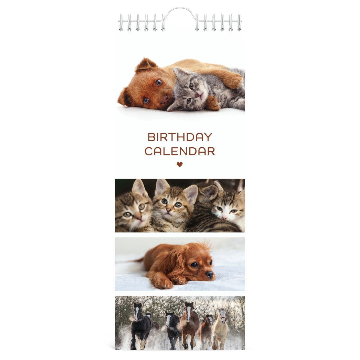 Lannoo Graphics - Birthday Calender - Verjaardagskalender - MY FAVOURITE FRIENDS - Pets - 4Talig - 130 x 325 mm