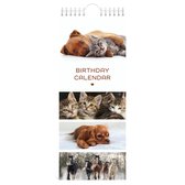 Lannoo Graphics - Calendrier d'anniversaire - Calendrier d'anniversaire - MES AMIS PRÉFÉRÉS - Pets - 4 Langues - 130 x 325 mm