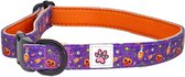 Halloween Halsband Hond - Zachte Honden Halsband - Ook Voor Kleine Hond / Puppy - Paars - Pompoenen - Pumpkin Pooch Parade - Paw My God! - Maat M