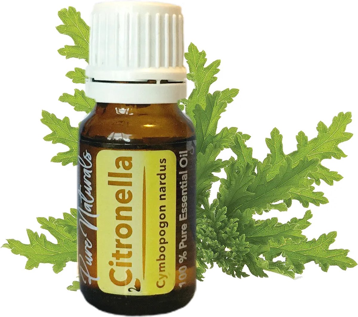 Goedkoopste Essentiële Olie Aromatherapie - Biologisch - Citronella - Flesje 10ml - Pure Naturals