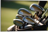 Dibond - Golf Clubs in Trolley op Golfbaan - 75x50 cm Foto op Aluminium (Met Ophangsysteem)