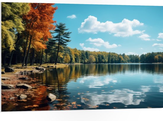 PVC Schuimplaat - Bomen - Bos - Meer - Water - Kleuren - 105x70 cm Foto op PVC Schuimplaat (Met Ophangsysteem)