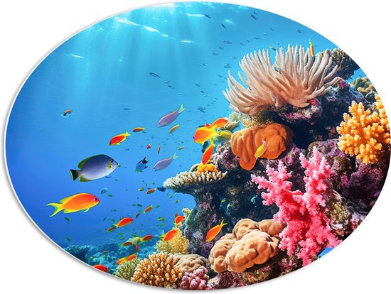 PVC Schuimplaat Ovaal - Felkleurige Koraal Omringd door Tropische Vissen op Zeebodem - 68x51 cm Foto op Ovaal (Met Ophangsysteem)