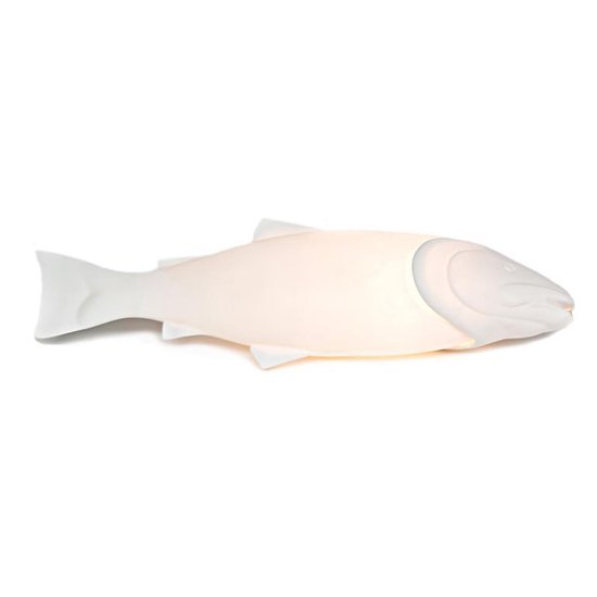 groot Kauwgom voor Pols Potten - Mykiss Fish lamp | bol.com