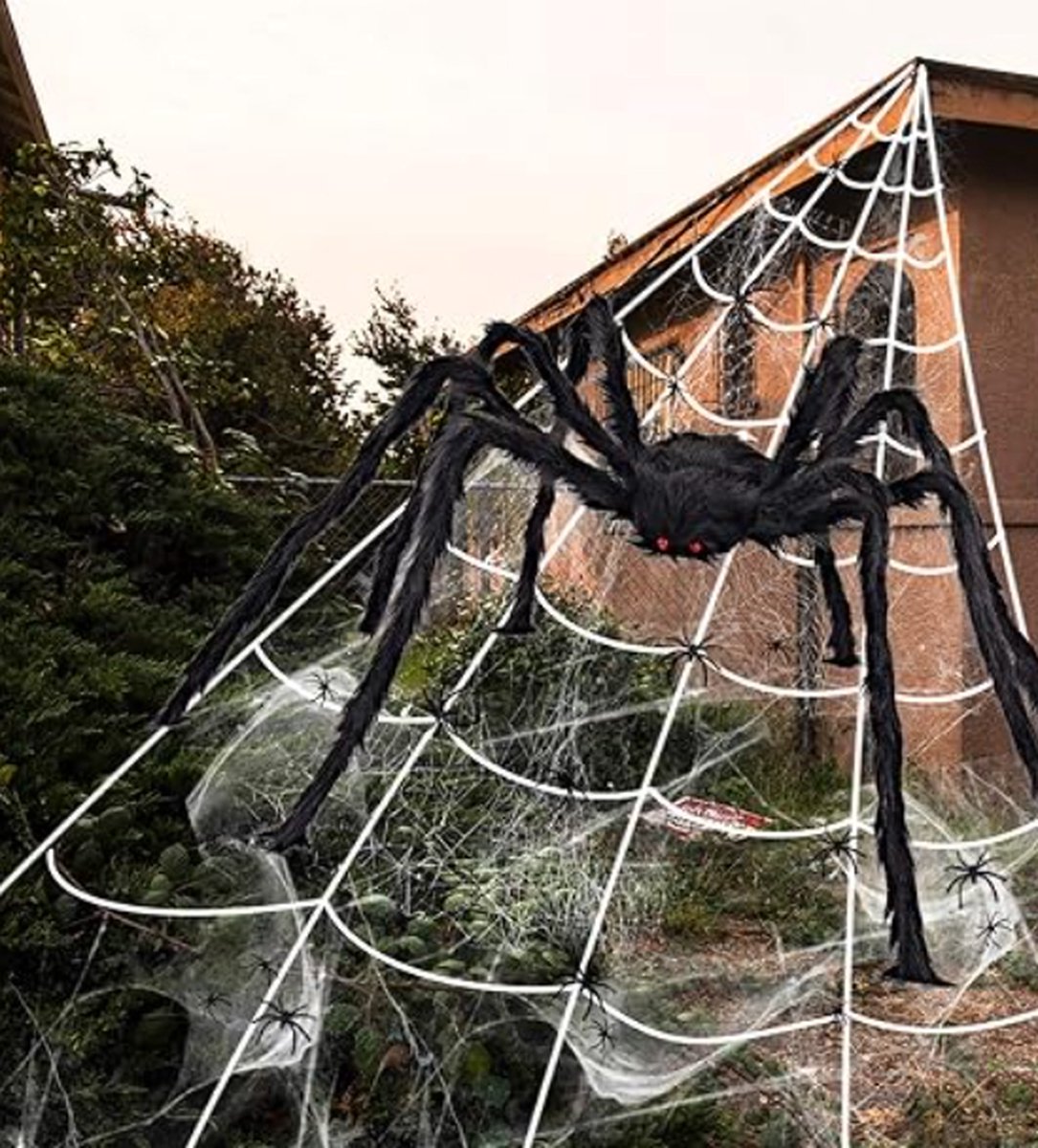 Ensemble D'Halloween De Toile D'araignée, Araignées, Sorcière Sur