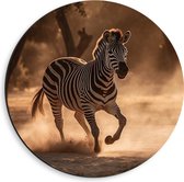 Dibond Muurcirkel - Rennende Zebra in Landschap - 40x40 cm Foto op Aluminium Muurcirkel (met ophangsysteem)