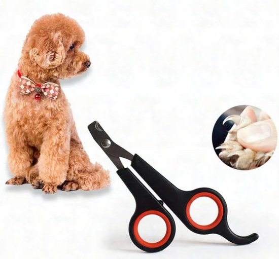 Pince à ongles Chien/Chat - Pince à Ongles Animaux - Ciseaux à Ongles - Coupe  Ongles... | bol.com