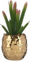 Decoratieve plant Keramisch Gouden Cactus Groen Plastic 6 Stuks
