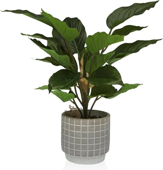Decoratieve plant Versa Cement Plastic 15 x 47 x 15 cm