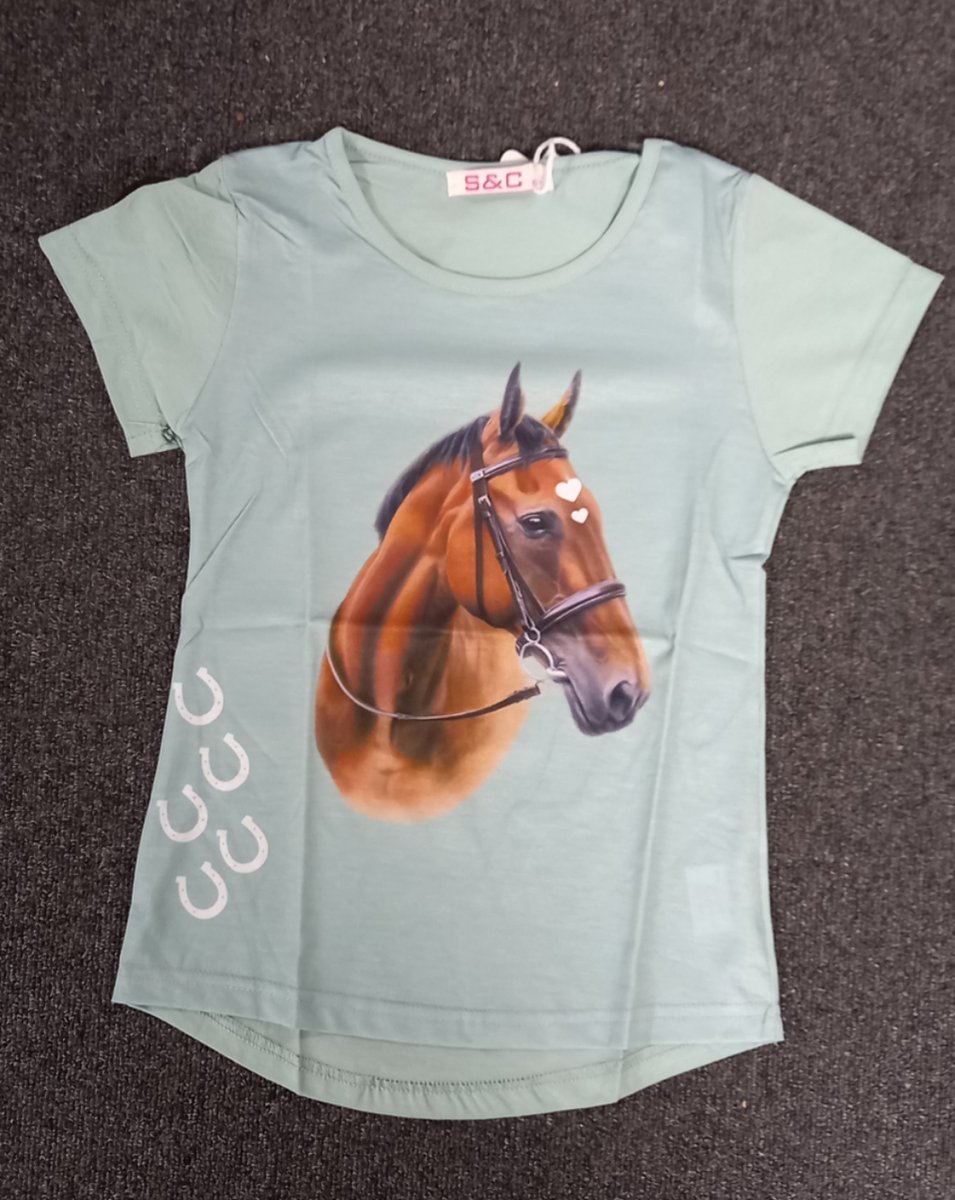 T-shirt paard - hartjes - korte mouw - ronde hals - groen - 6 jaar - maat 116