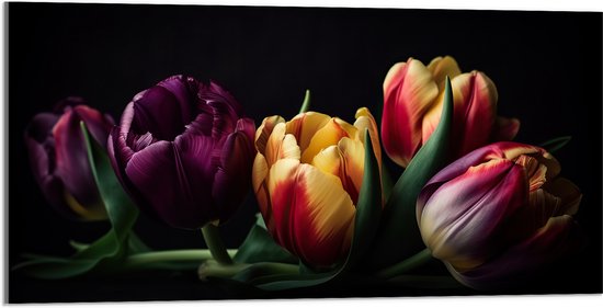 Acrylglas - Diverse Gekleurde Tulpen in het Donker - Bloemen - 100x50 cm Foto op Acrylglas (Wanddecoratie op Acrylaat)