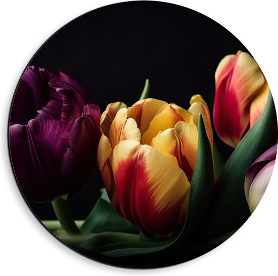 Dibond Muurcirkel - Diverse Gekleurde Tulpen in het Donker - Bloemen - 40x40 cm Foto op Aluminium Muurcirkel (met ophangsysteem)