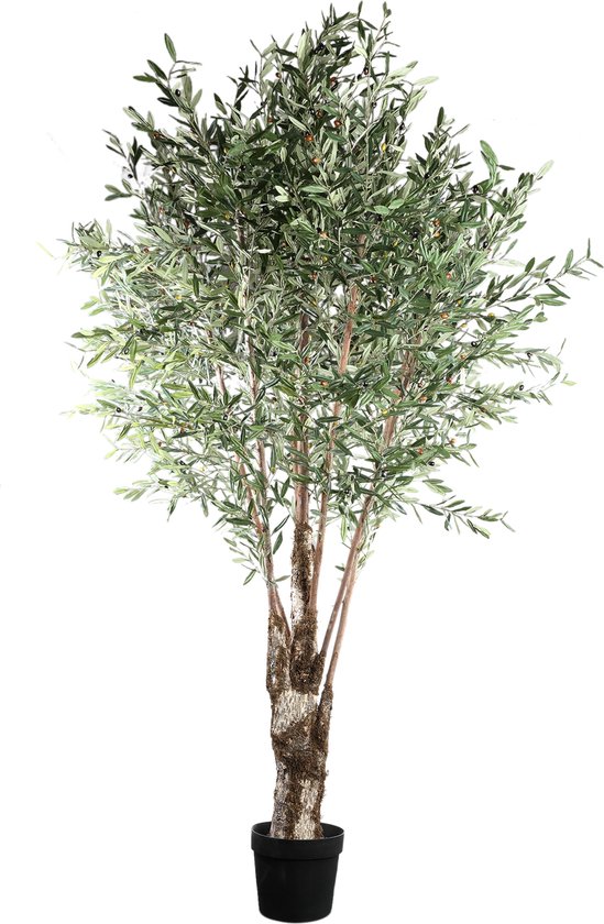 PTMD Tree Green olive tree in plastic pot - Oijfboom XXL 265 hoog - diameter 140 cm
