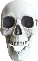 Fjesta Halloween Schedel - Halloween Decoratie - Wit - 21x16x15cm