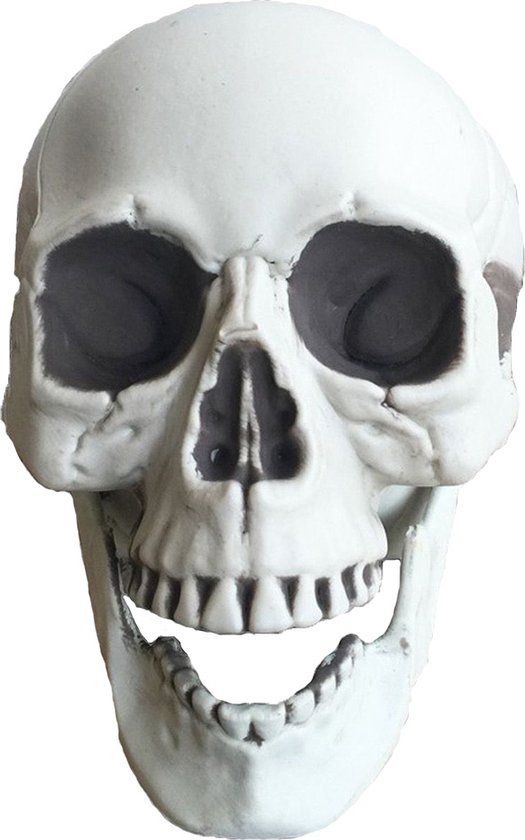 Fjesta© Halloween schedel - 21cm x 16cm x 15cm