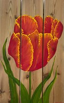 Houten paneel Rood Oranje tulp 11