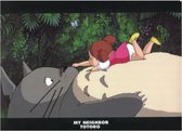 Ghibli - My Neighbor Totoro - Op de buik A4 mapje
