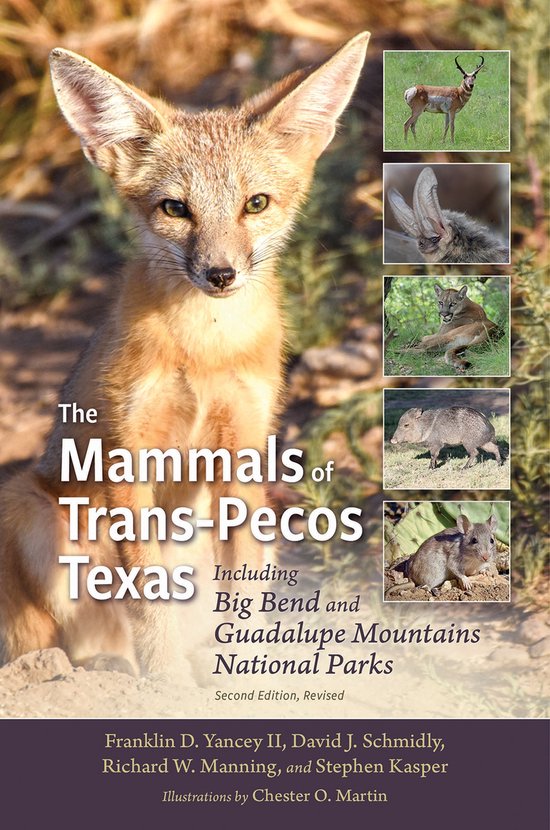 Foto: Integrative natural history series sponsored by texas research institute for environmental studies sam houston state university the mammals of trans pecos texas