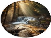 PVC Schuimplaat Ovaal - Bossen - Waterval - Water - Bomen - Stenen - 108x81 cm Foto op Ovaal (Met Ophangsysteem)