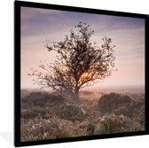 Cadre photo avec affiche - La bruyère au lever du soleil - 40x40 cm - Cadre pour affiche
