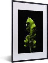 Fotolijst incl. Poster - Een groen blad op zwarte een achtergrond - 40x60 cm - Posterlijst