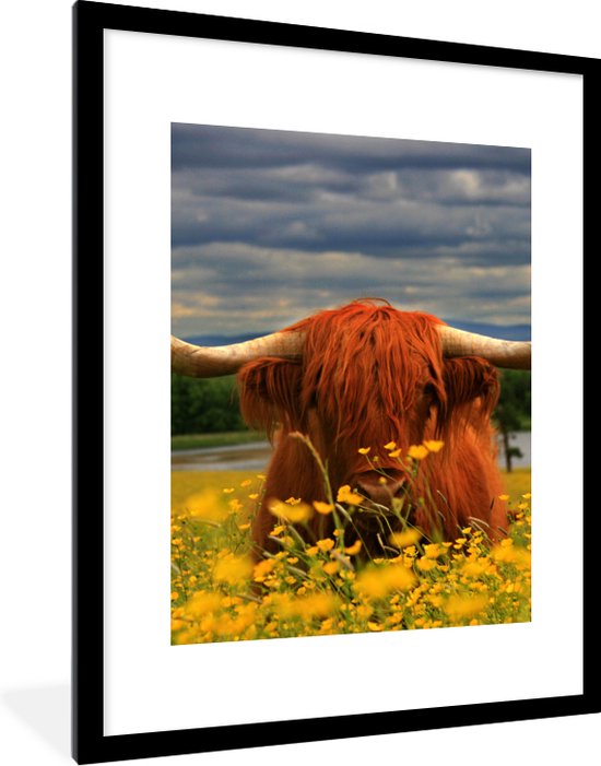 Fotolijst incl. Poster - Schotse Hooglander - Dieren - Bloemen - 60x80 cm - Posterlijst