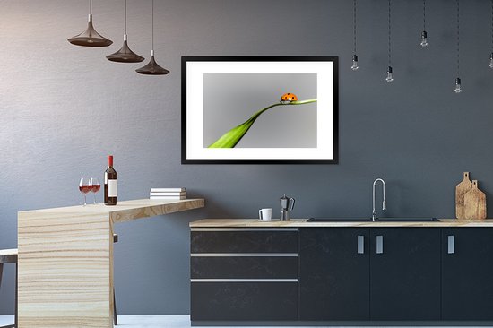 Fotolijst incl. Poster - Lente lieveheersbeestje op gras - 90x60 cm - Posterlijst