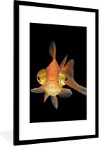 Cadre photo avec poster - Poisson rouge - Animaux aquatiques - Yeux - 60x90 cm - Cadre poster