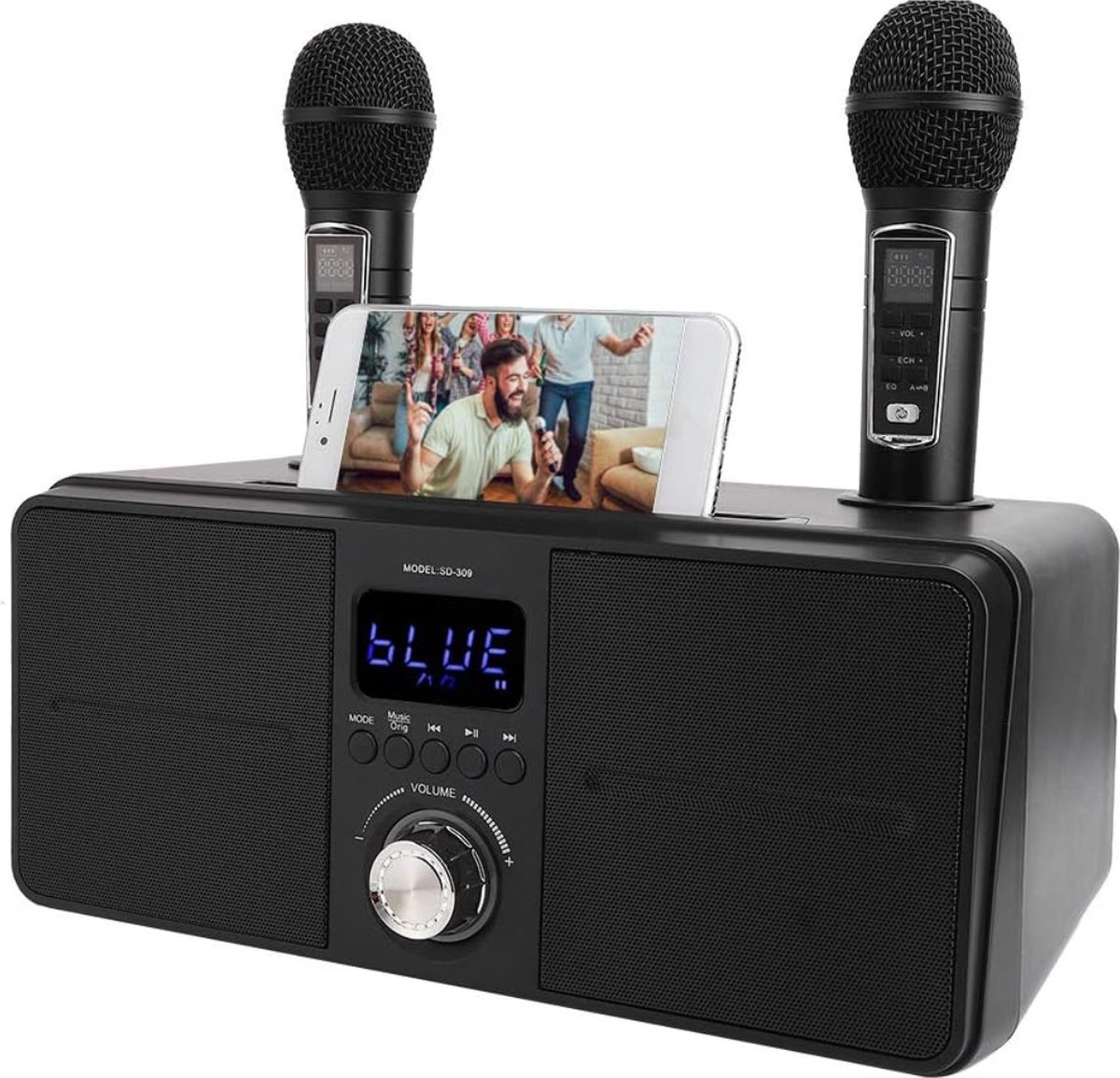 Système de haut-parleurs de sonorisation Bluetooth portable de machine de  karaoké à double microphone avec 1 et 2 microphones sans fil pour la maison  pour adultes et enfants