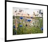 Fotolijst incl. Poster - Bloemen - Zomer - Korenbloem - Blauw - Zon - Wolken - 80x60 cm - Posterlijst