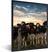 Fotolijst incl. Poster - Dieren - Koe - Koeien - 60x80 cm - Posterlijst