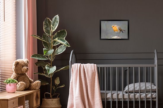 Cadre photo avec affiche - Vogel - Robin - Rocher - 30x20 cm - Cadre pour affiche