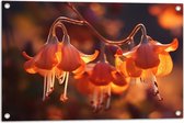 Tuinposter – Bloemen - Hangen - Oranje - 75x50 cm Foto op Tuinposter (wanddecoratie voor buiten en binnen)