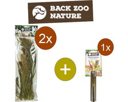 Back Zoo Nature Panicum - Trosgierst - Inclusief houder