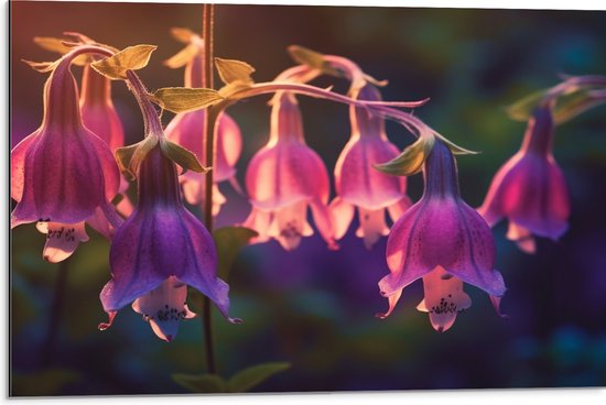 Dibond - Bloemen - Hangen - Blaadjes - 75x50 cm Foto op Aluminium (Met Ophangsysteem)