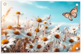 Tuinposter – Bloemen - Vlinder - Madeliefjes - 60x40 cm Foto op Tuinposter (wanddecoratie voor buiten en binnen)