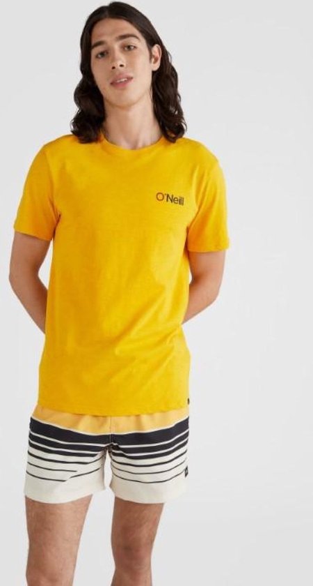 O'neill T-Shirts SUNSET T-SHIRT