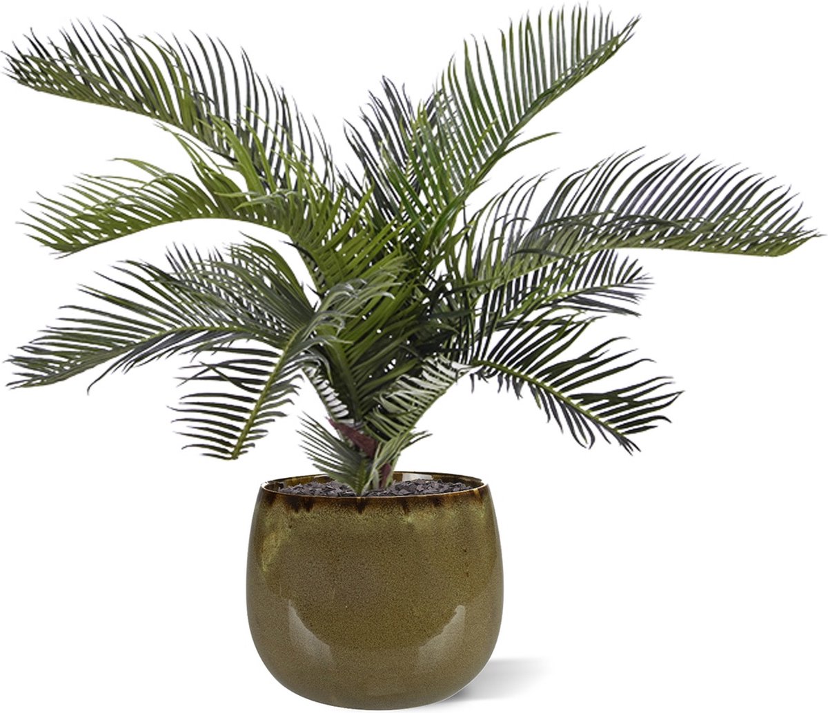 maxifleur Kunstplanten Cycas Palm kunstboeket 50 cm Groen