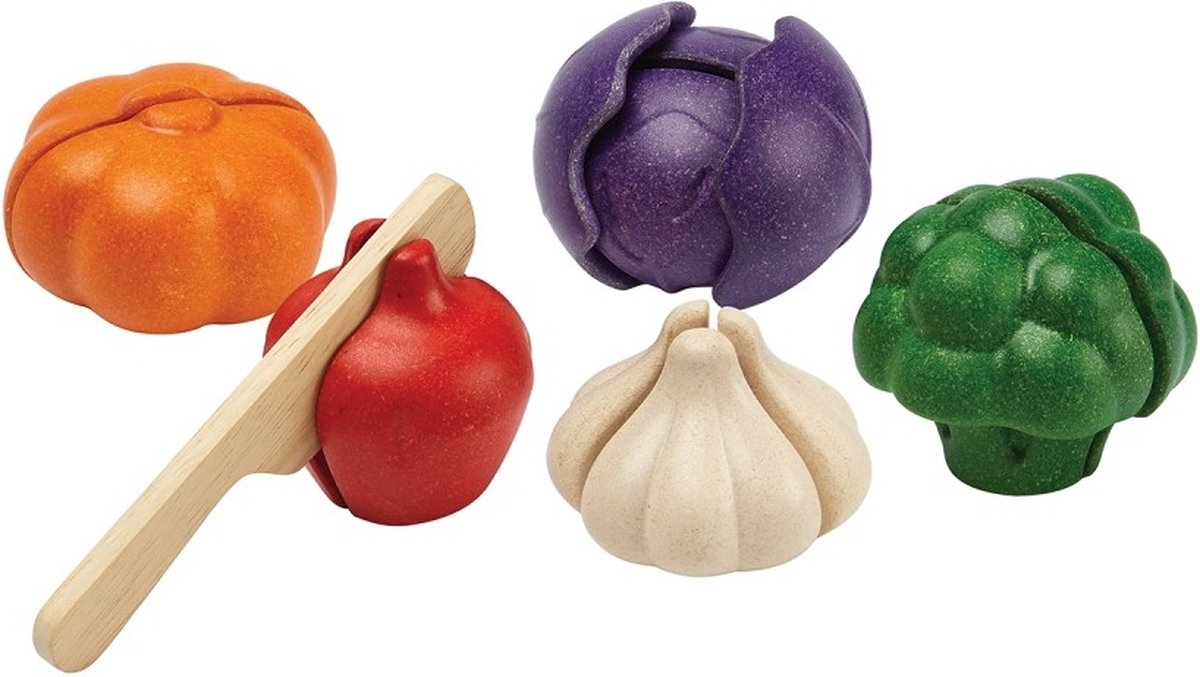 PlanToys Houten Speelgoed 5 kleuren groenten set.