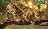 Fotobehang - Vlies Behang - Luipaard in het Bos - Panter - Jaguar - 208 x 146 cm