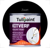 Tulipaint Kitverf (Zwart) - Kit verven - Siliconenkit verven schilderen - Kitstift - Kitranden vieze verkleurde gele vergeelde Kit schoonmaken reinigen reiniger - Kitreiniger