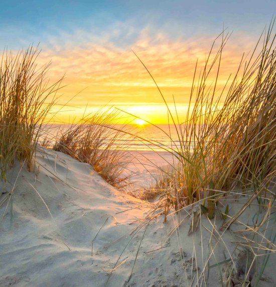 Papier peint photo du moulin à huile avec vue sur les prairies 250 x 260 cm