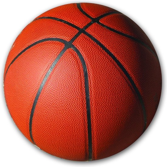 Pegasi Basketbal maat 5: 69-71 cm omtrek - Indoor en Outdoor - 450-500 gram