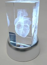 Anatomie model menselijk hart - 3D glazen blok - met verlichtingsdisplay- verpleegkundige cadeau/ dokter cadeau/ geneeskunde cadeau