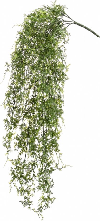 Fleurdirect Hangplant Fern - Polyester - Groen - 0 x 80 x 0 cm (BxHxD)