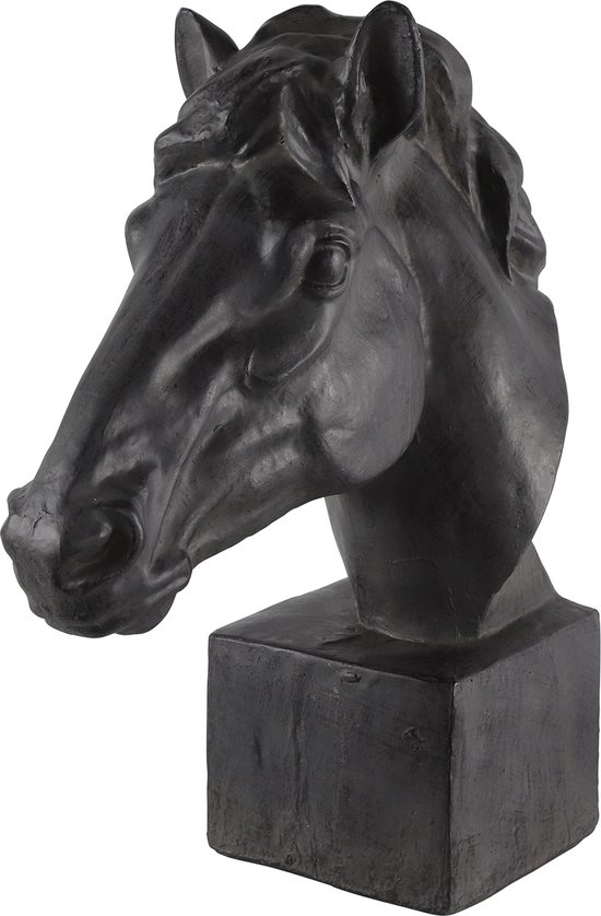 Tête de cheval Countryfield Fury anthracite