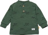 Bess - Shirt Mountains - groen - maat 50
