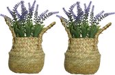 Everlands Lavendel kunstplant in rieten mand - 2x - lila paars - D16 x H27 cm